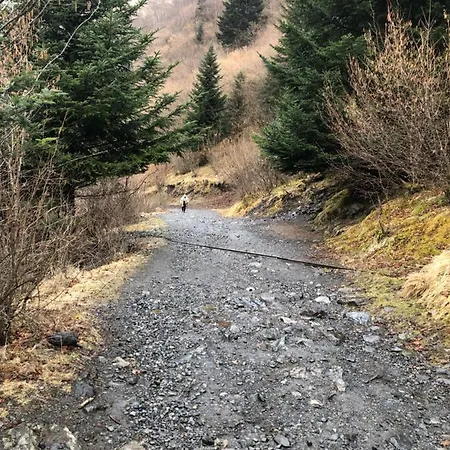 Au Pied Des Pistes Apartament *