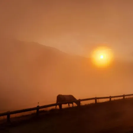 Au Pied Des Pistes Apartament