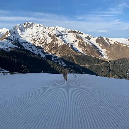 Au Pied Des Pistes