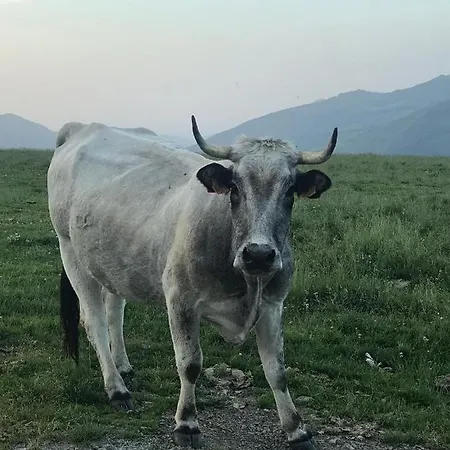 Au Pied Des Pistes * Saint-Aventin