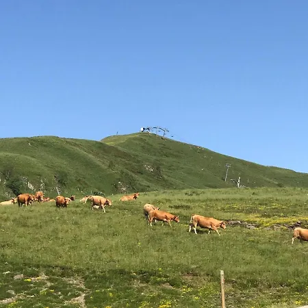 Au Pied Des Pistes شقة *