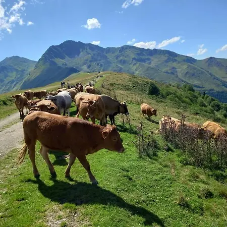 Au Pied Des Pistes Saint-Aventin