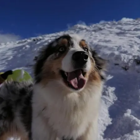 Au Pied Des Pistes * Saint-Aventin