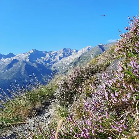 Au Pied Des Pistes Daire