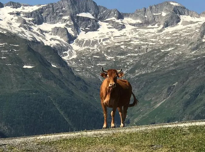 公寓 Au Pied Des Pistes Saint-Aventin