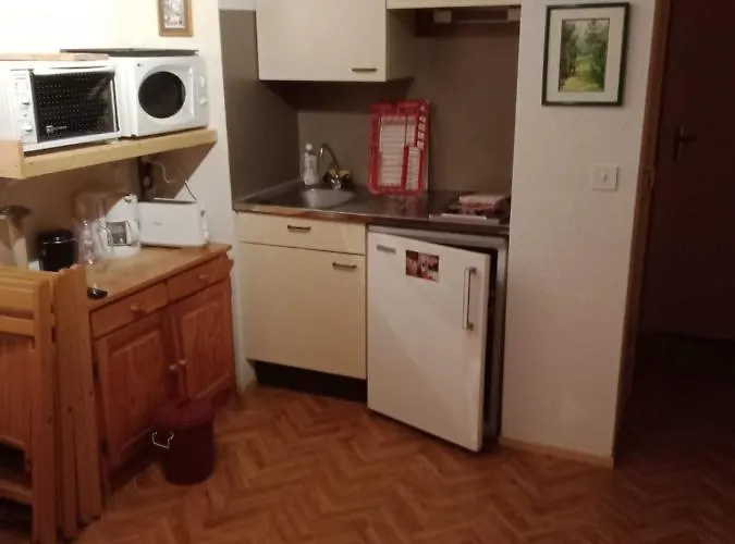 公寓 Au Pied Des Pistes Saint-Aventin