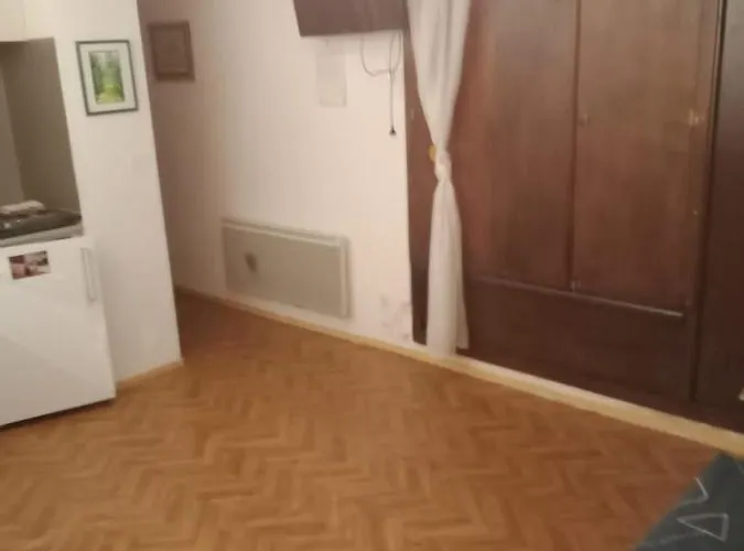 Au Pied Des Pistes 公寓