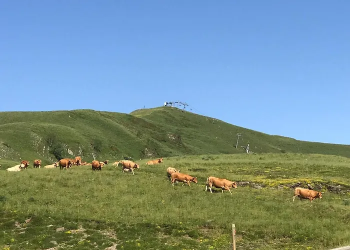 Au Pied Des Pistes 公寓 *