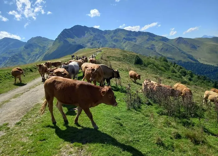 Au Pied Des Pistes Saint-Aventin
