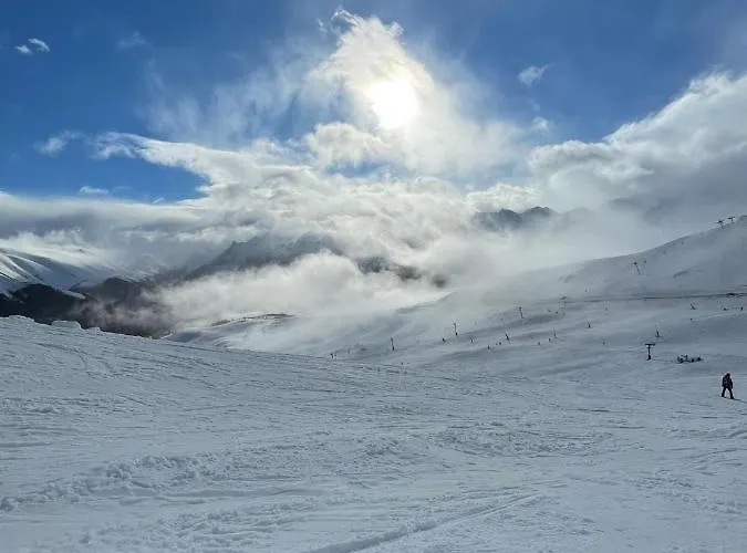 Au Pied Des Pistes 公寓 *