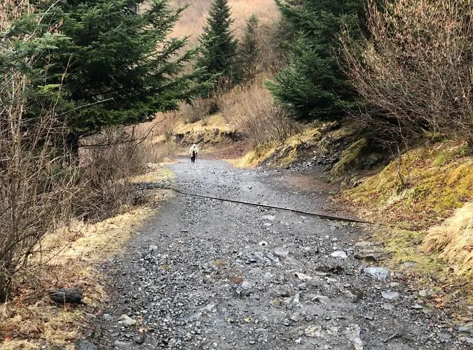 Au Pied Des Pistes 公寓 *