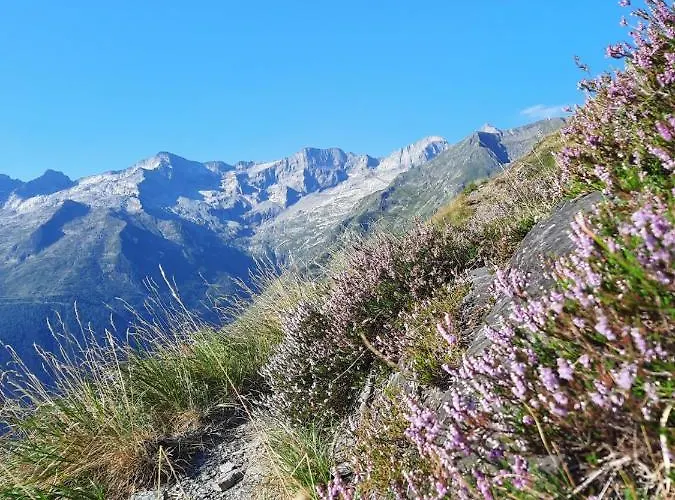 Au Pied Des Pistes 公寓