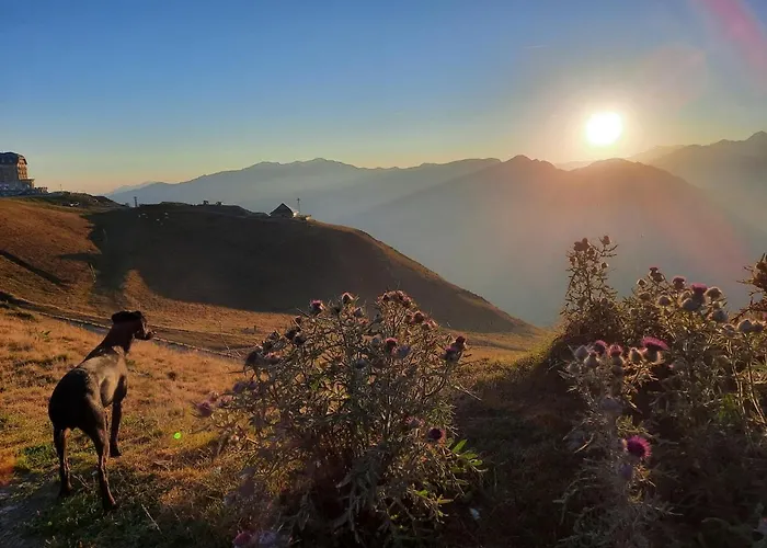 Au Pied Des Pistes 公寓 Saint-Aventin