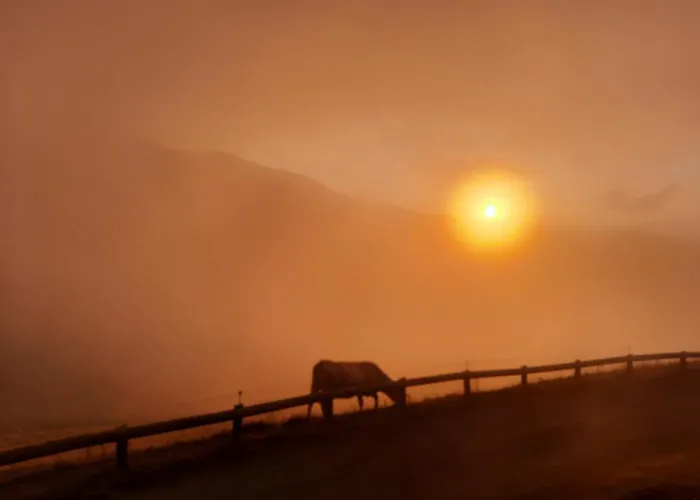 Au Pied Des Pistes 公寓